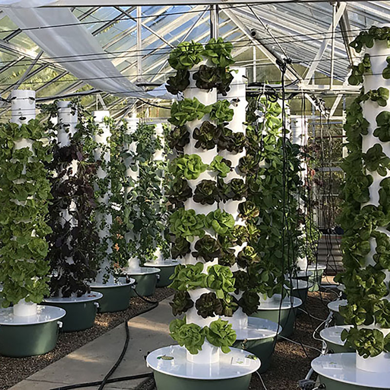 A greenhouse with planting towers.