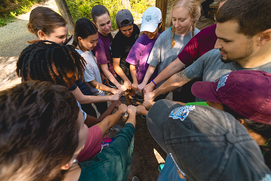 Staff and students form a circle with their fists as part of a team building exercise.