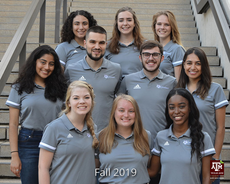 The Fall 2019 Interns on the steps in Rudder Plaza prior to their Sustainability Tour.